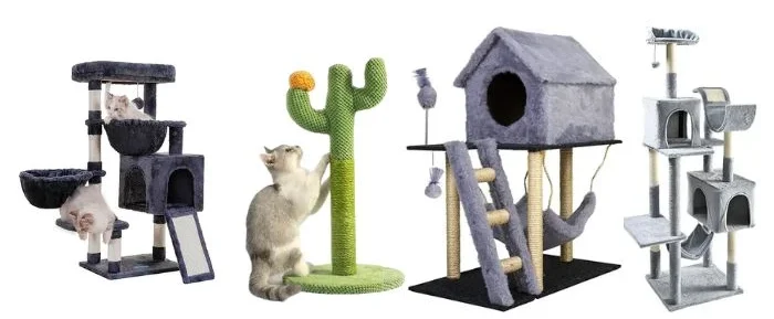 torre gato